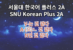 V-는 것 같다, A-(으)ㄴ 것 같다, N인 것 같다